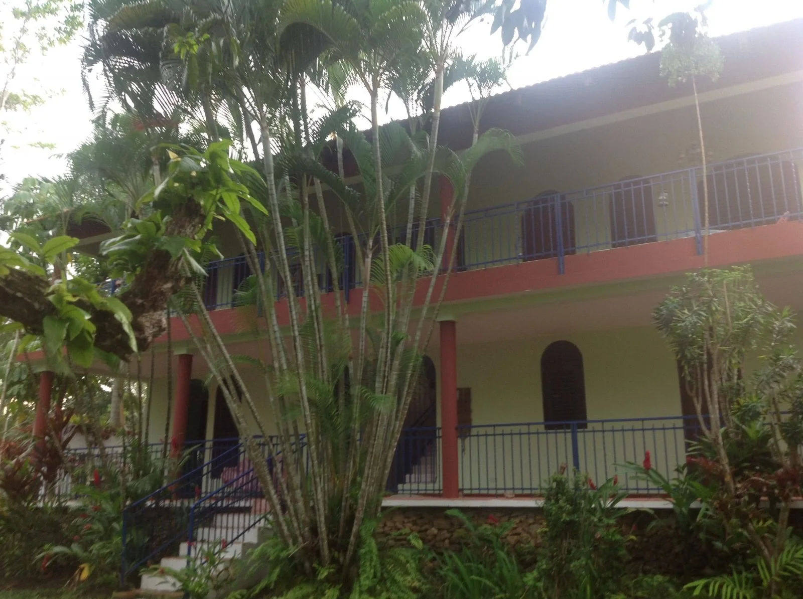 Finca con casa campestre en Pedro Brand
